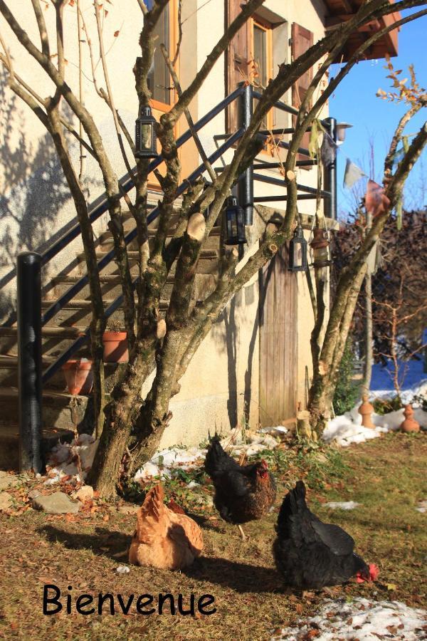Belladone Guest House Theys Les 7 Laux Esterno foto
